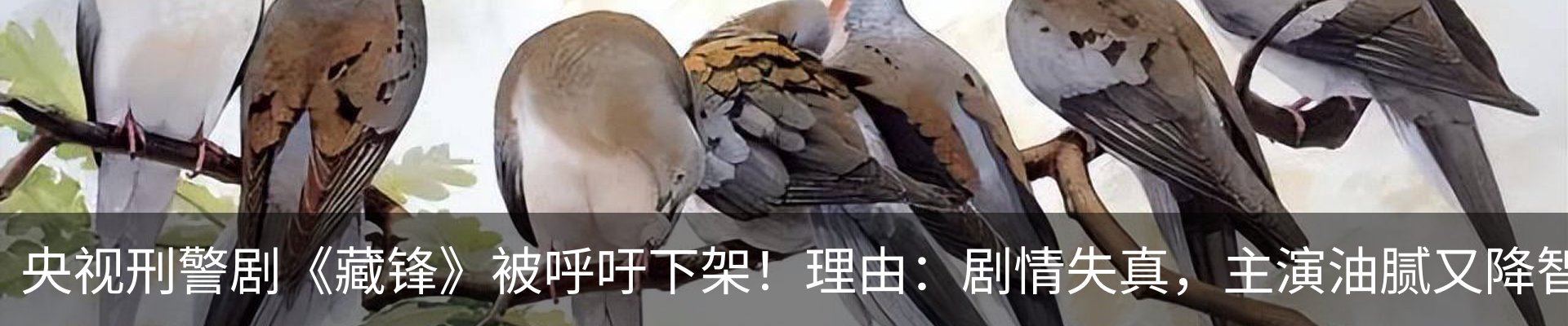 内页banner